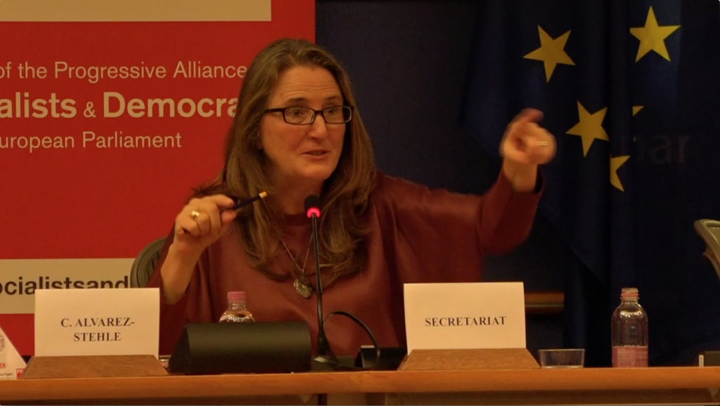 Chelo speaks at European Parliament
