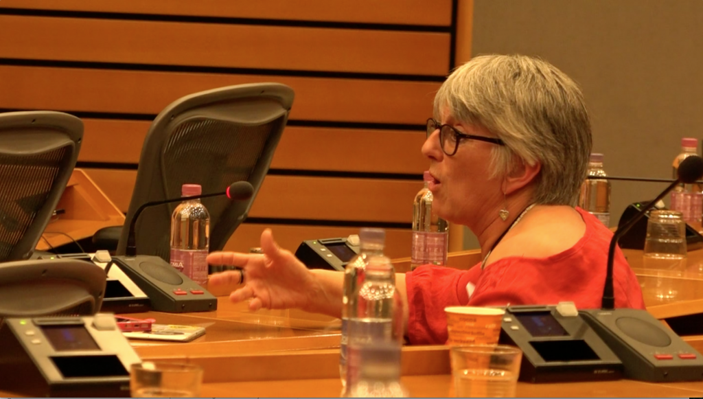MEP Julie Ward speaks at the Q&A