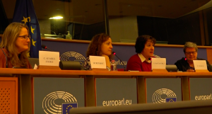 MEP Zita Gurmai at Sands of Silence screening at the European Parliament